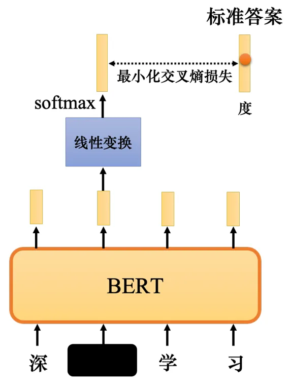 BERT 的训练过程